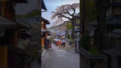 #relaxingmusic kyoto Japan🇯🇵🇯🇵🇯🇵 amazing peaceful place🌿🍃#nature