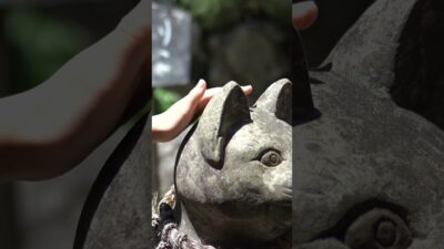 猫が神様になった神社がヤバすぎた。【お松大権現】#shorts