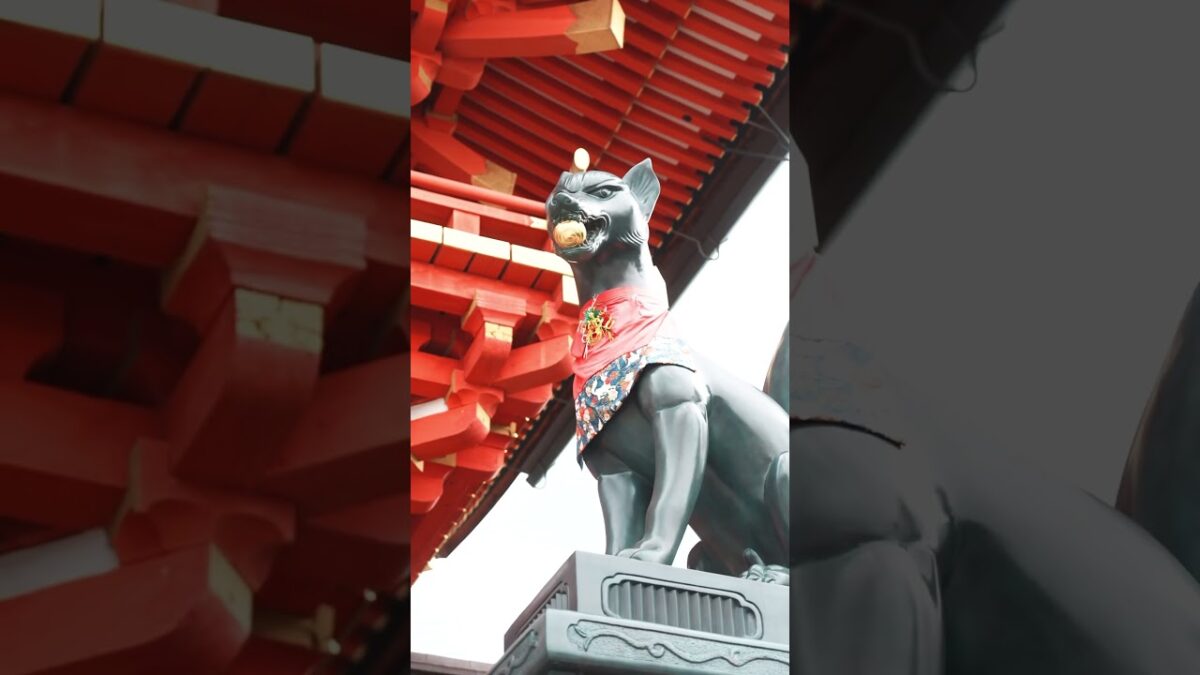 #shorts  A little walk through Fushimi Inari, Kyoto./京都・伏見稲荷をちょっと歩きました