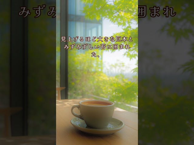 新緑あふれる森のガラスカフェ🍃 #shorts #森林浴#森カフェ#カフェBGM#作業用BGM#ジャズBGM