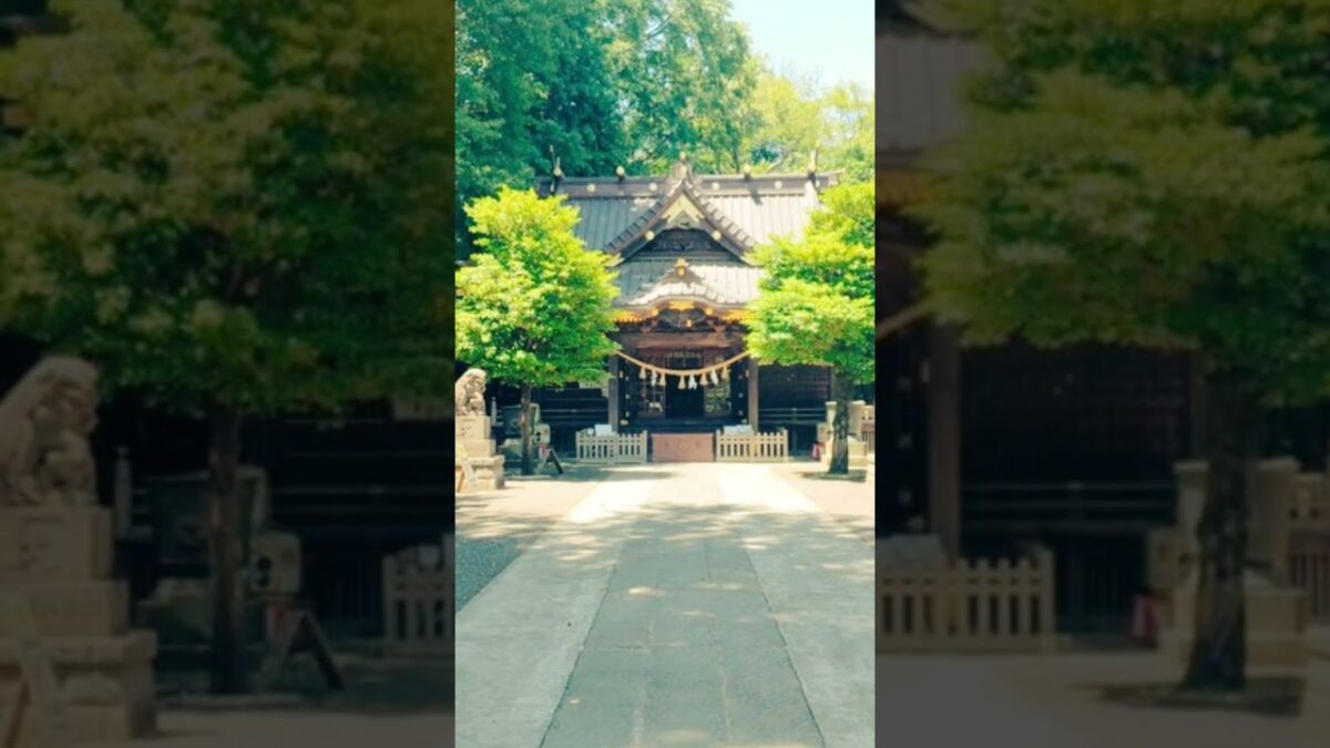 #神社仏閣巡り #神社巡り #旅行