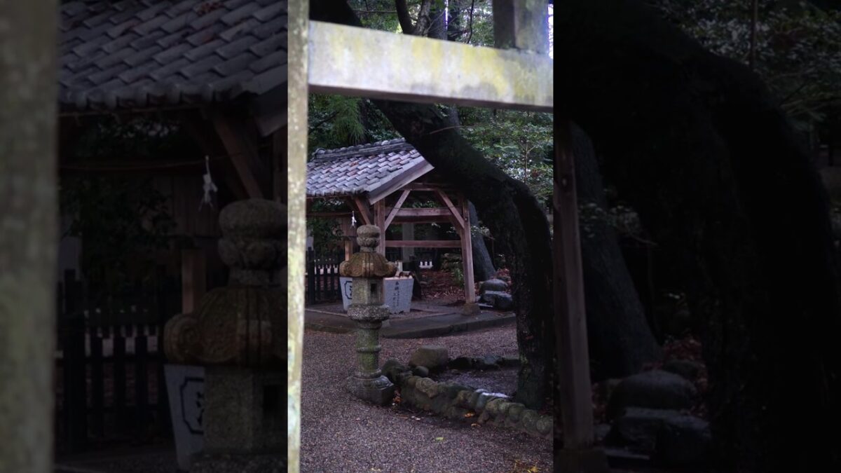 【知ってる？⛩️】久居に佇む歴史ある神社｜川併神社