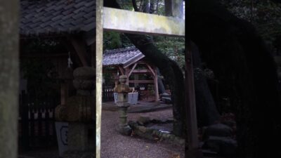 【知ってる？⛩️】久居に佇む歴史ある神社｜川併神社