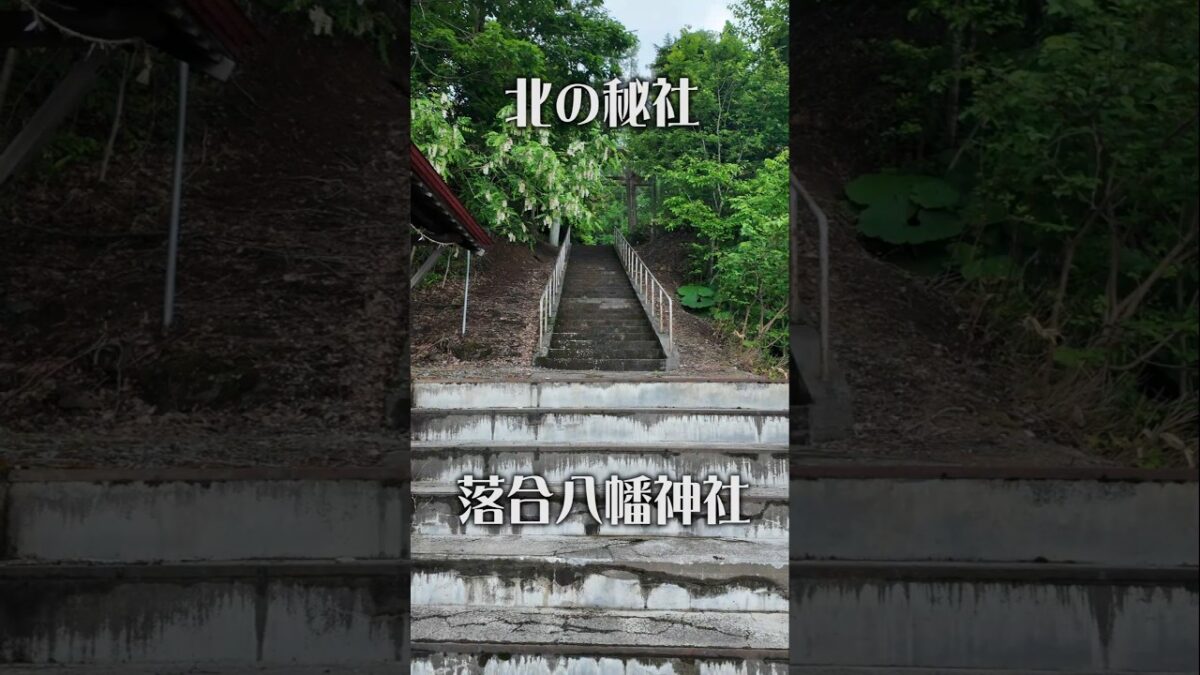 【北の秘境神社】落合八幡神社（北海道・南富良野町）｜静寂に包まれた森の社