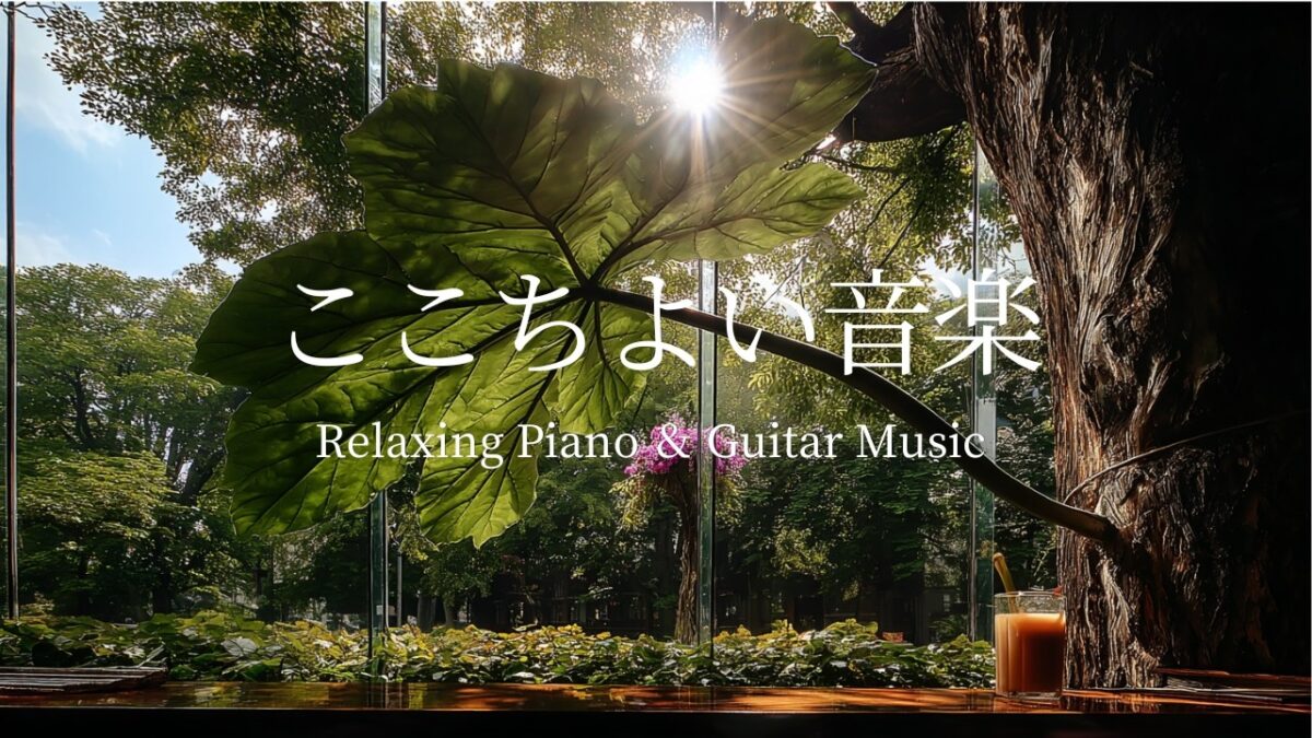 【森林浴とここちよい音楽】自然の力を感じながら、癒しのピアノとギターの音色でリラックス｜やすらぎの光と穏やかな音楽に包まれるながら、心を安定させる音楽