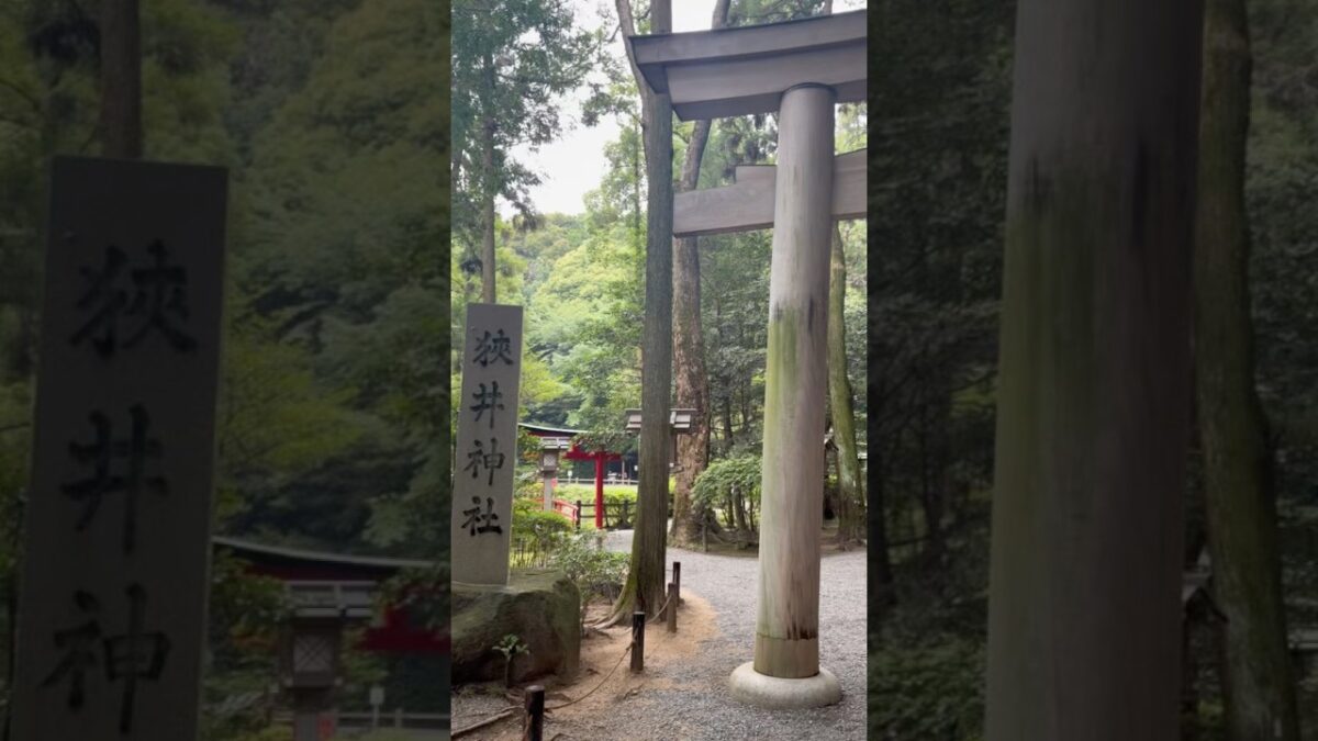 薬の神様を祀る神社⛩️狭井神社【奈良県】 #パワースポット神社仏閣 #神社巡り #神社 #奈良