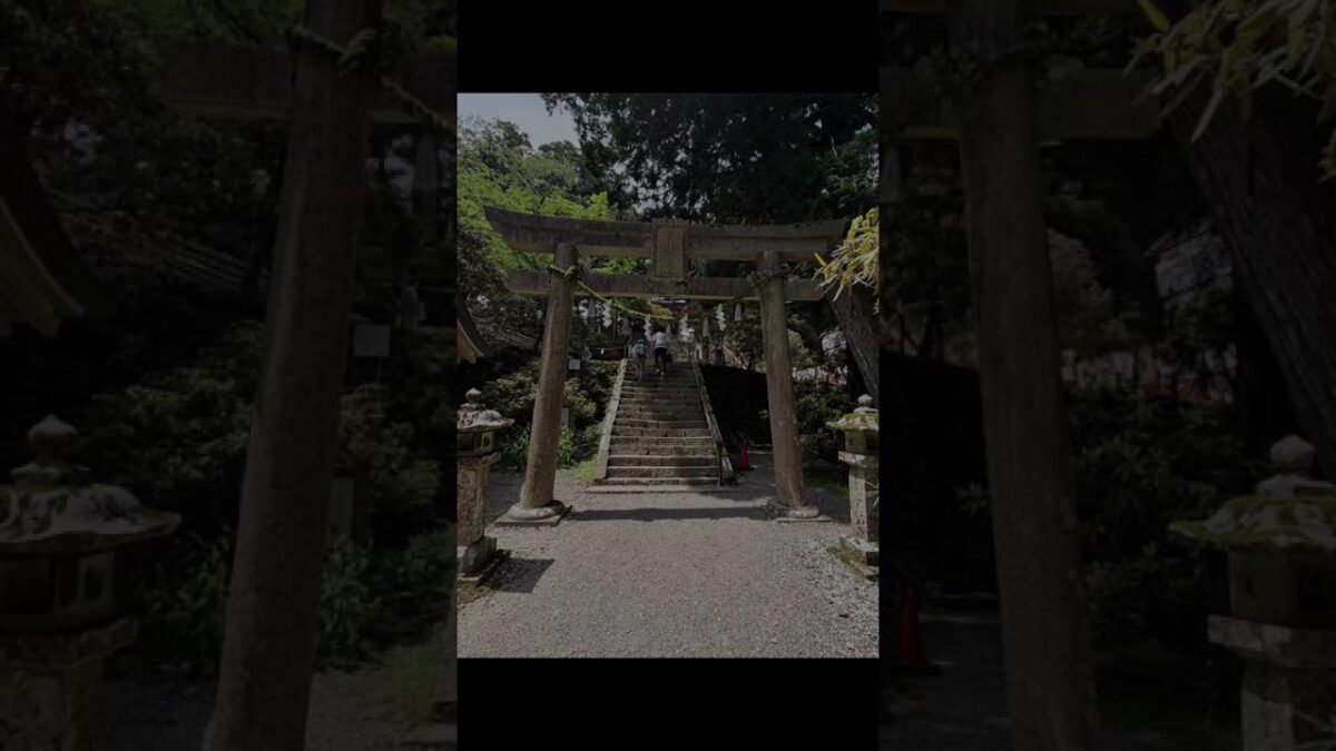【玉置神社⛩開運招福・厄除け・心身浄化・導き・縁結び】 #遠隔参拝#神社巡り#幸せのお裾分け#パワースポット#神の国#はなはな#リーディング#タロット#神社仏閣#神様によばれた人しか辿り着けない神社
