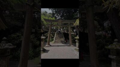 【玉置神社⛩開運招福・厄除け・心身浄化・導き・縁結び】 #遠隔参拝#神社巡り#幸せのお裾分け#パワースポット#神の国#はなはな#リーディング#タロット#神社仏閣#神様によばれた人しか辿り着けない神社