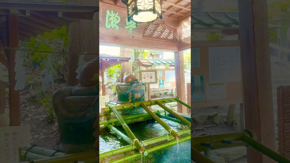 同じ茅の輪くぐりでも全然違う！大鳥大社⛩️大神神社⛩️ #パワースポット神社仏閣 #神社巡り #神社 #夏の大祓