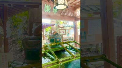 同じ茅の輪くぐりでも全然違う！大鳥大社⛩️大神神社⛩️ #パワースポット神社仏閣 #神社巡り #神社 #夏の大祓