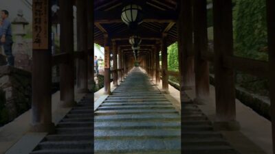 〜あじさい回廊〜長谷寺⛩️ #パワースポット神社仏閣 #パワースポット #お寺 #お寺巡り #奈良