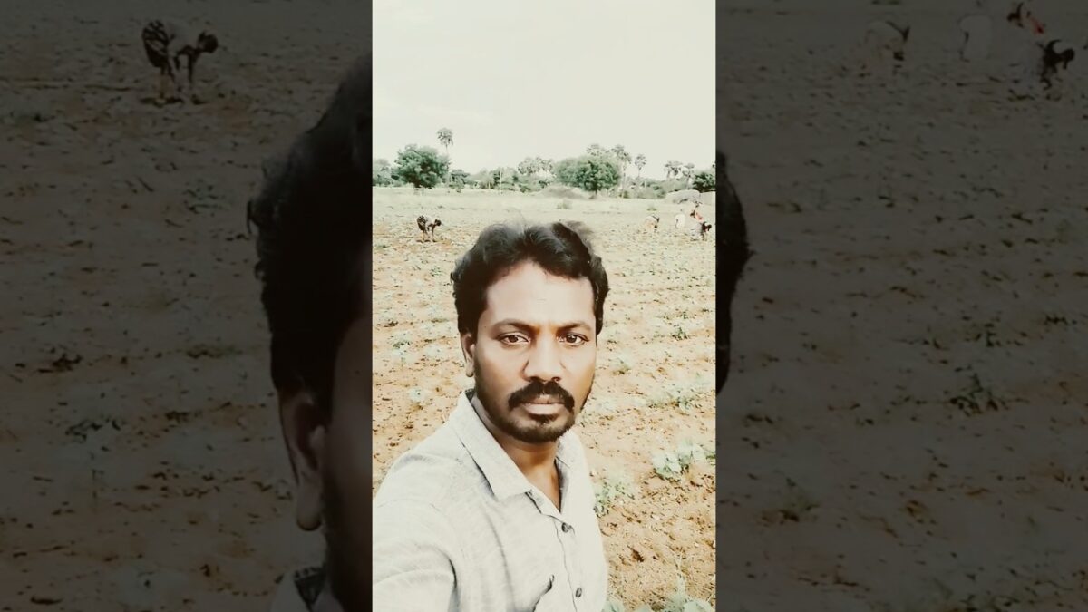 చేనులో ఏంముంది!??