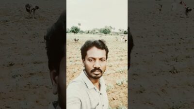 చేనులో ఏంముంది!??