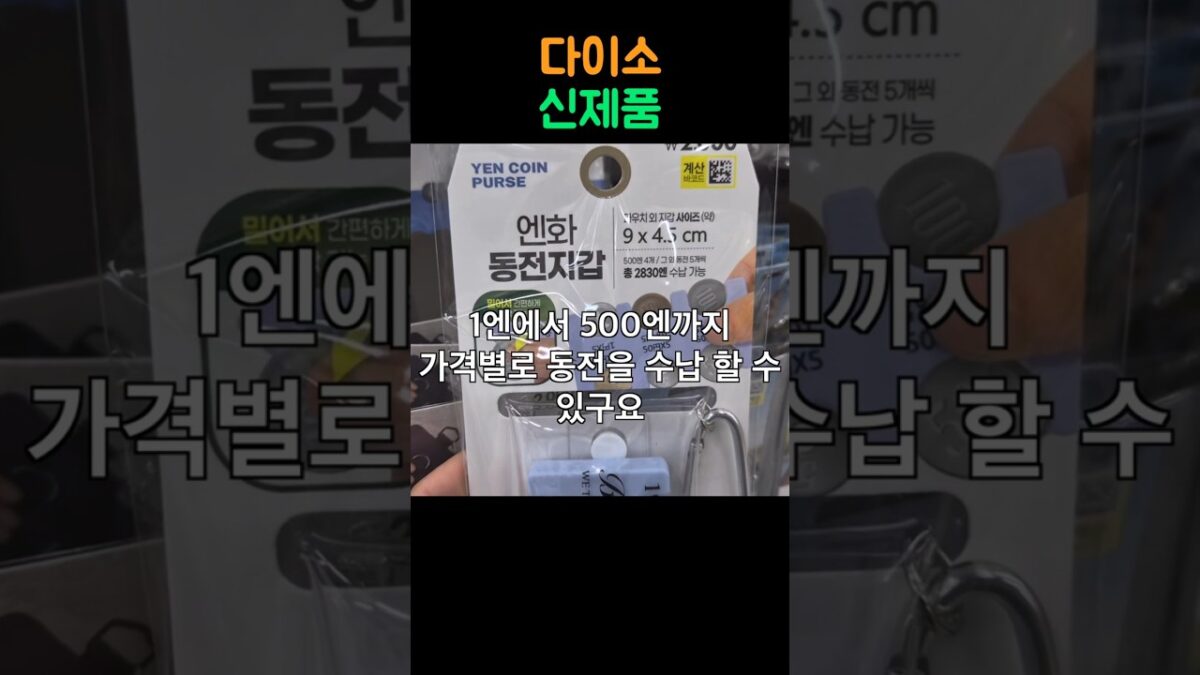 여행 갈 때 다이소 신제품 하나면 끝!
