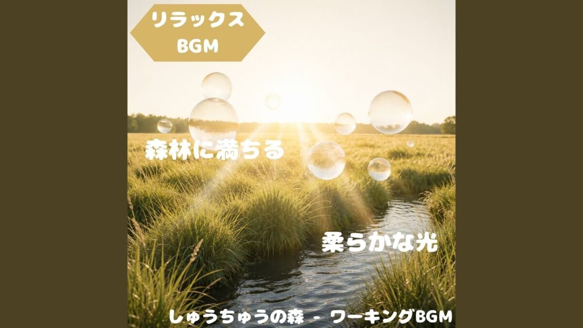 森林浴が満たす自然な余韻