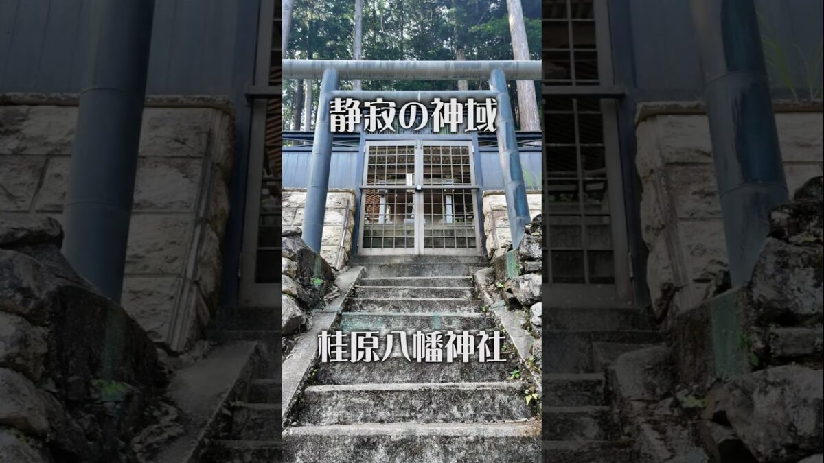 【静寂の秘社】桂原八幡神社（奈良・黒滝村）｜静かな時間が流れる社