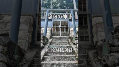 【静寂の秘社】桂原八幡神社（奈良・黒滝村）｜静かな時間が流れる社