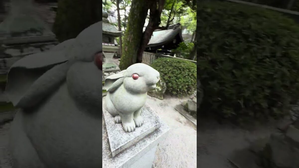 真夏の岡崎神社