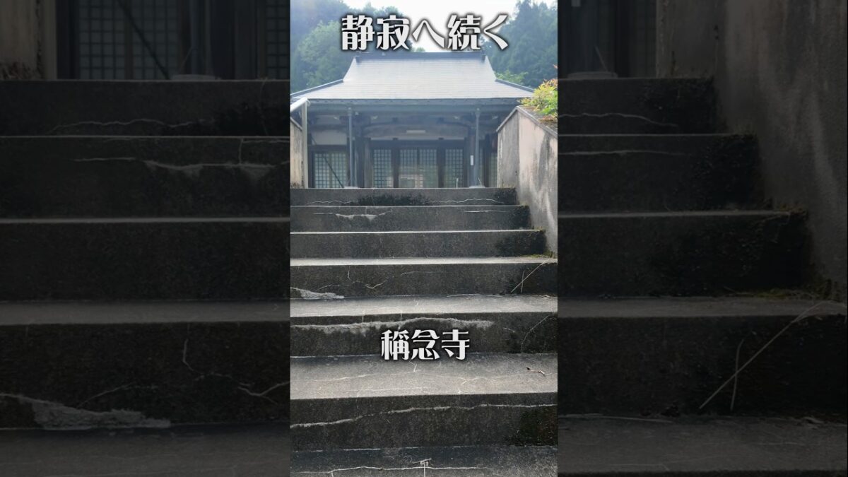 【静寂へ続く】稱念寺（奈良・黒滝村）｜山里に佇む癒やしの古刹