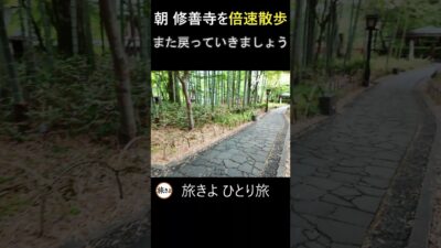 早起きしたら見られる修善寺の顔 #旅行vlog #一人旅