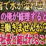 【馴れ初め】一人旅で温泉宿を訪ねた水道屋の俺。旅館で水が溢れ出し辺りが水浸し→女将「やだ、どうしよう」そこで俺がパパっと修理してみせると、それを見ていた美人客に声をかけられ俺の人生が激変【2本
