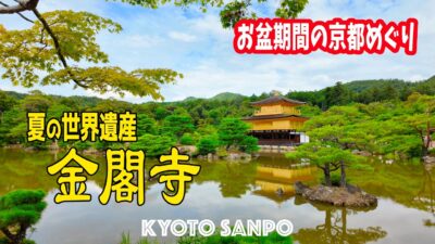 2026/8/15(土) ☀️お盆の京都めぐり🌅 青空と夏雲 輝く世界遺産『金閣寺』世界を魅了する風景に外国人も感動!! /京都Vlog/夏の京都/Kyoto walk [京都4K]