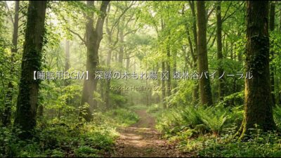 【自律神経を整える】深緑の木もれ陽 ✕ 森林浴バイノーラル｜野鳥のさえずりと極小オルガンで眠りに落ちる3時間安眠BGM (432Hz)