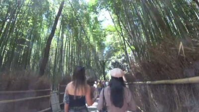 [ 4K ]  京都府京都市【嵯峨野】の付近を散歩しました。【ウォーキング動画〔Walking video〕】2026年08月