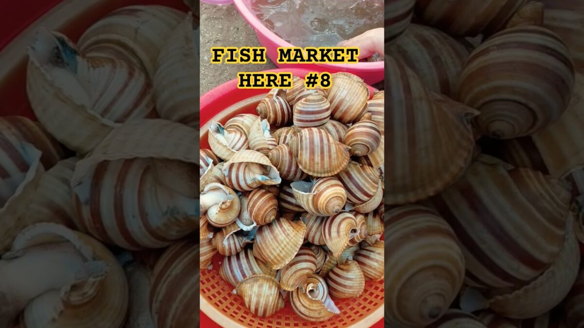 5 AM – WHAT’S IN THIS MARKET? IT SEEMS TO HAVE EVERYTHING! 🦀🐟#VietnamBeachLife #Vietnam  #CAREMDAZ
