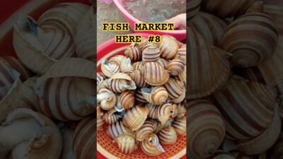 5 AM – WHAT’S IN THIS MARKET? IT SEEMS TO HAVE EVERYTHING! 🦀🐟#VietnamBeachLife #Vietnam  #CAREMDAZ