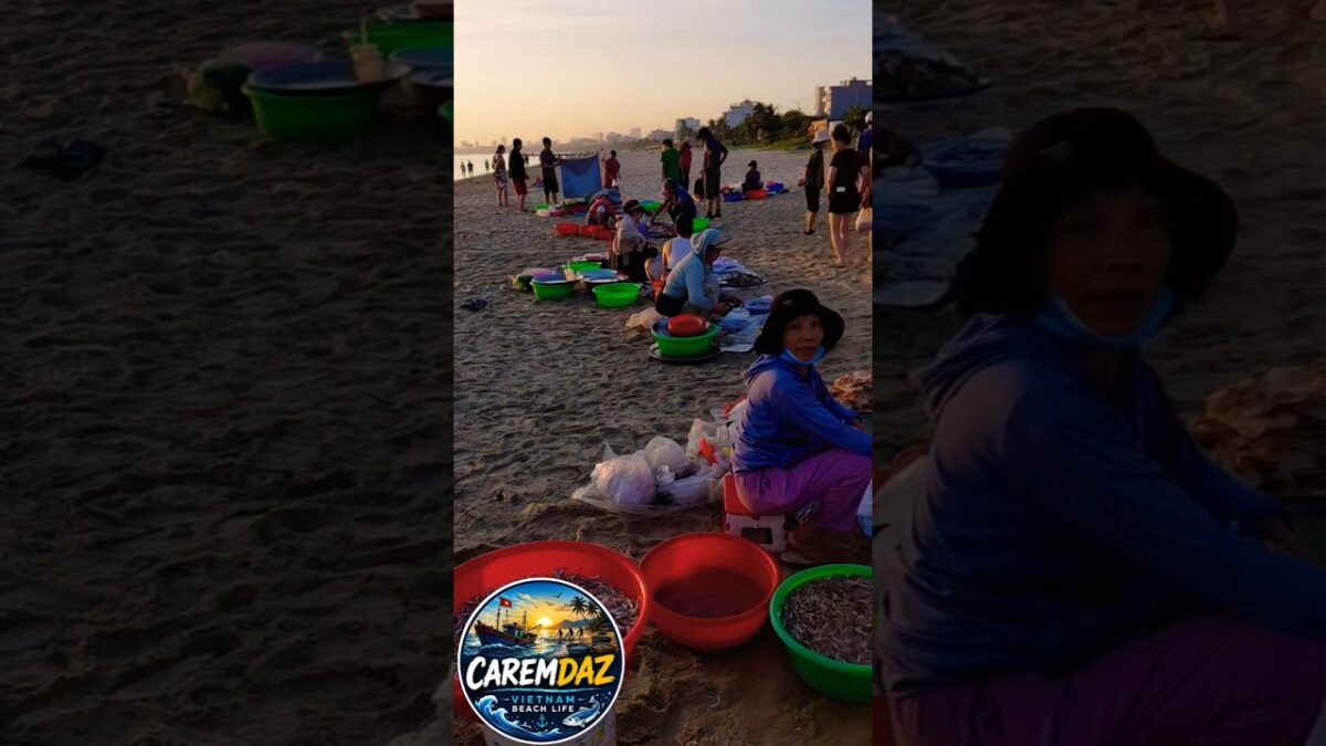 🔴5 AM – WHAT’S IN THIS MARKET? IT SEEMS TO HAVE EVERYTHING! 🦀🐟#VietnamBeachLife #Vietnam  #CAREMDAZ