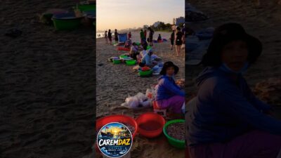 🔴5 AM – WHAT’S IN THIS MARKET? IT SEEMS TO HAVE EVERYTHING! 🦀🐟#VietnamBeachLife #Vietnam  #CAREMDAZ