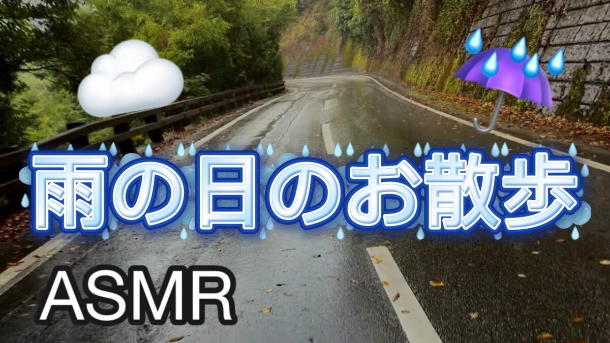 [ASMR] 雨の日、一緒にお散歩しよう☔️｜雨音・足音・環境音