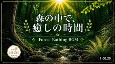 森林浴BGM｜森のせせらぎと鳥のさえずり🌿 癒しのリラックス音楽｜作業用・睡眠・休憩時間に