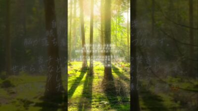【瞑想・睡眠】まるで森林浴をしながらリラックスタイム/睡眠導入・勉強・ヒーリングミュージック・集中したい時のBGMなど