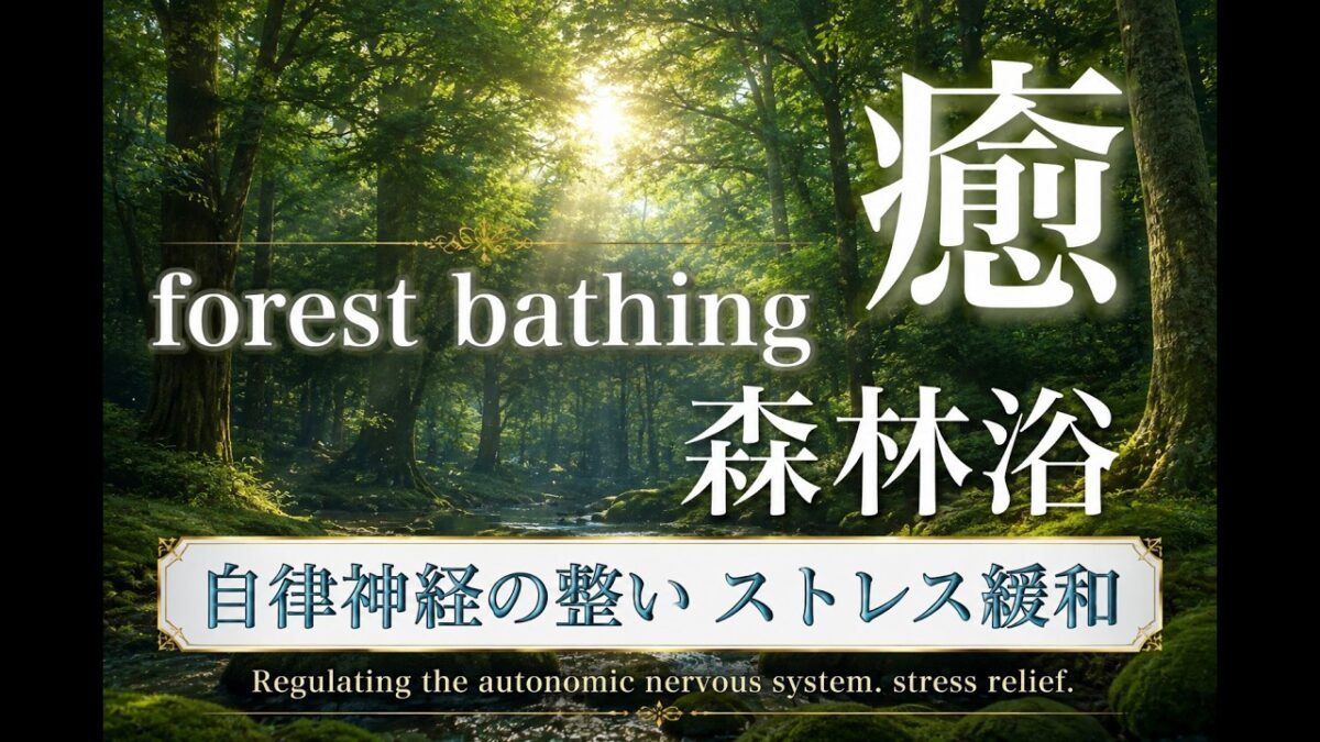 森林浴BGM 3時間｜疲れた心を癒す森の音と光｜自律神経・ストレス緩和 Forest Bathing