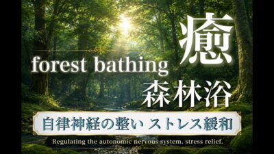 森林浴BGM 3時間｜疲れた心を癒す森の音と光｜自律神経・ストレス緩和 Forest Bathing