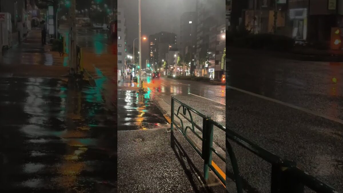 雨の日の東京を夜さんぽ。音と光で感じる静かな街【作業用/睡眠用BGM】　　　　　#shorts