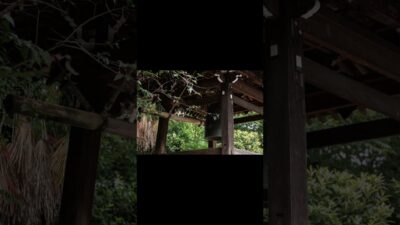 Behold My Bell Skills | Quiet Walk Japan