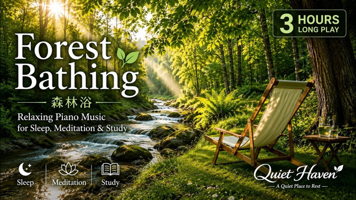Forest Bathing 🌿 森林浴 | Relaxing Piano Music for Sleep, Meditation & Study | Quiet Haven