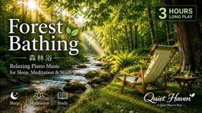 Forest Bathing 🌿 森林浴 | Relaxing Piano Music for Sleep, Meditation & Study | Quiet Haven
