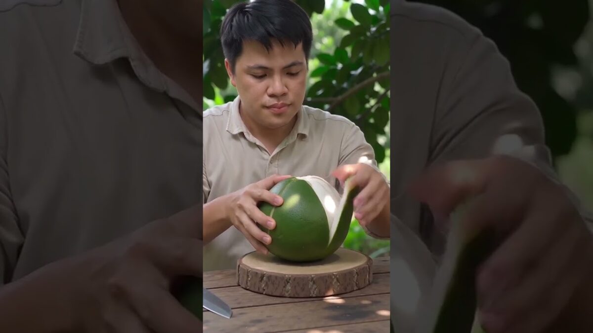 Harvesting and Enjoying Juicy Pomelo#Pomelo #Harvest #FreshFruit #ASMR #Nature