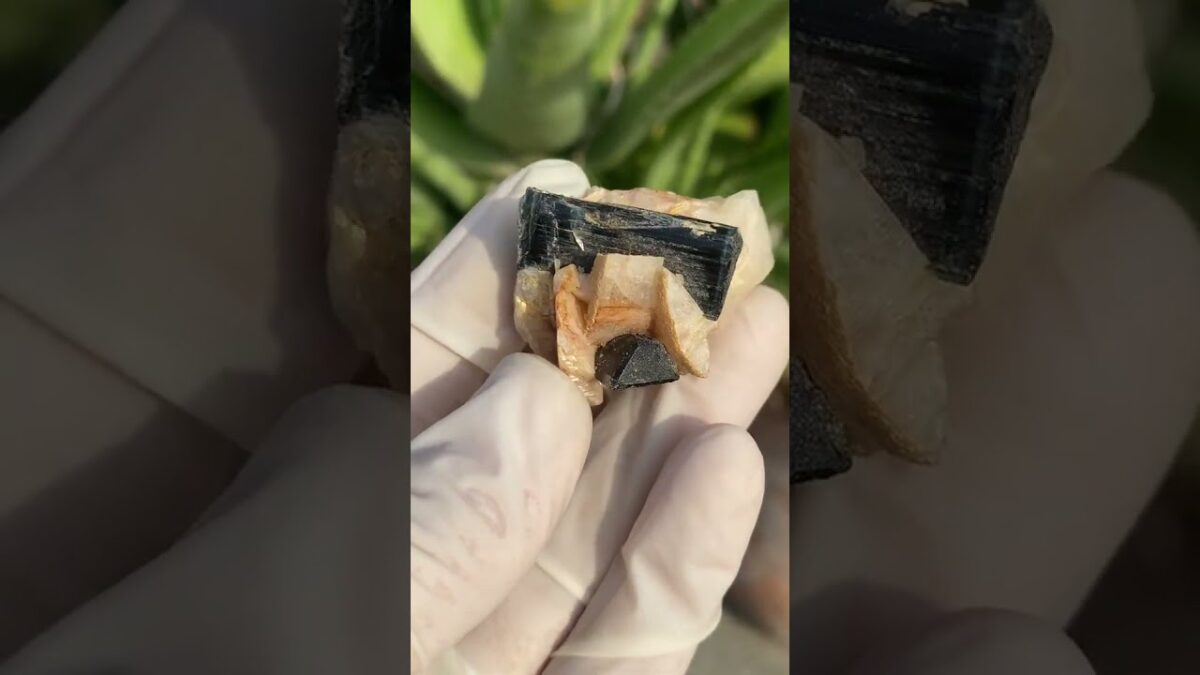 Perfect Natural Black Tourmaline Specimen. #tourmaline #black #feldspar #dailyshorts #nature #asmr
