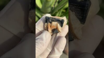 Perfect Natural Black Tourmaline Specimen. #tourmaline #black #feldspar #dailyshorts #nature #asmr