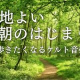 【ケルト音楽】心地よい朝のはじまり、森林浴で気持ちを整える🌿歩きたくなるケルト音楽｜Relaxing Celtic Music｜癒しBGM 作業BGM リラックスBGM
