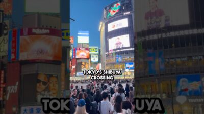 THE CROSSING Where Thousands Move At Once #tokyo #japan #facts #travel #shorts #shibuya #walk