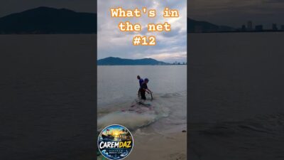 What’s in the Net?  #Fishing  #Fisherman #FishingLife #FreshFish #Sunrise #CoastalLife #CAREMDAZ