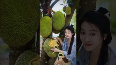 Wonderful fruits that bring relaxation 🍉 #satisfying #fruits #nature #asmr #vegetables #farming #1m