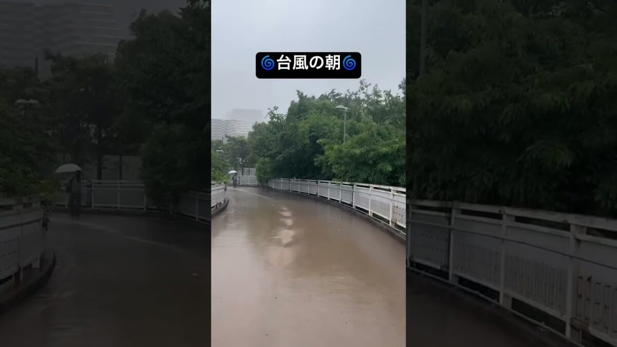 台風の朝大雨と風と出勤 #foryou #pov #雨音bgm