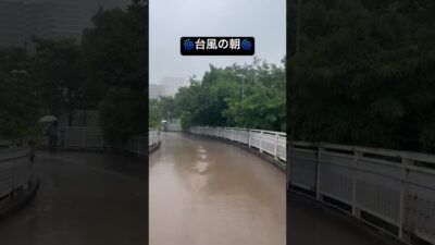 台風の朝大雨と風と出勤 #foryou #pov #雨音bgm